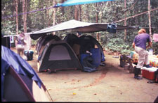 Ecuador-Amazon-Canoeing Adventure in the Cuyabeno Wildlife Reserve